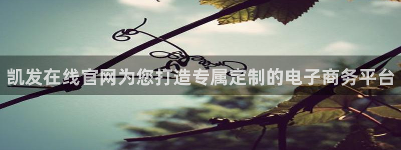 福建彩易通机电股份公司：凯发在线官网为您打造专属定制的电子商务平台