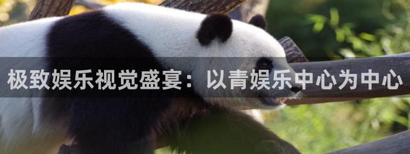 彩易通体育娱乐注册链接：极致娱乐视觉盛宴：以青娱乐中心为中心