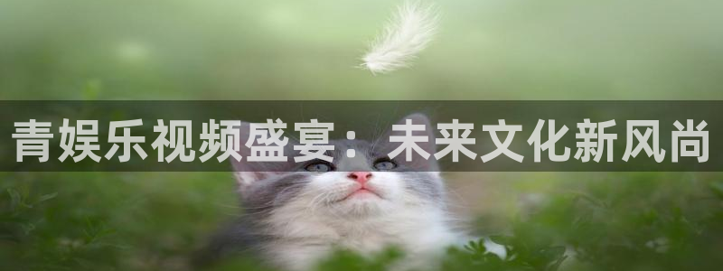 彩易通体育平台总代理：青娱乐视频盛宴：未来文化新风尚
