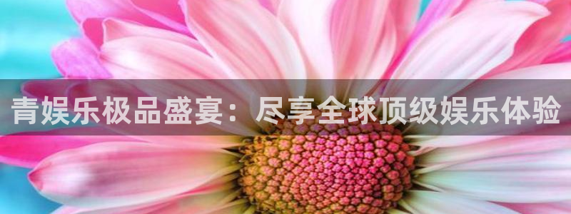彩易通登录：青娱乐极品盛宴：尽享全球顶级娱乐体验