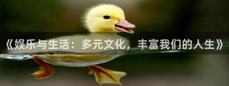彩易通3注册：《娱乐与生活：多元文化，丰富我们的人生》