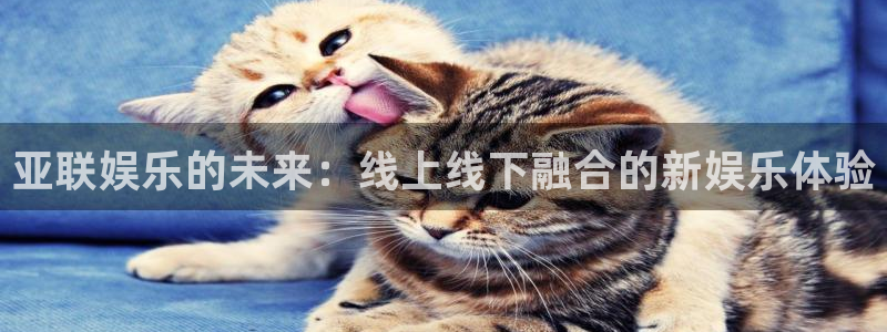 彩易通3注册：亚联娱乐的未来：线上线下融合的新娱乐体验