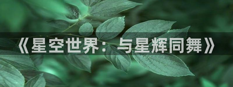 彩易通能源：《星空世界：与星辉同舞》