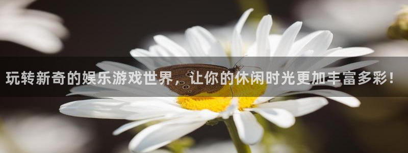 彩易通代理：玩转新奇的娱乐游戏世界，让你的休闲时光更加丰富多彩！