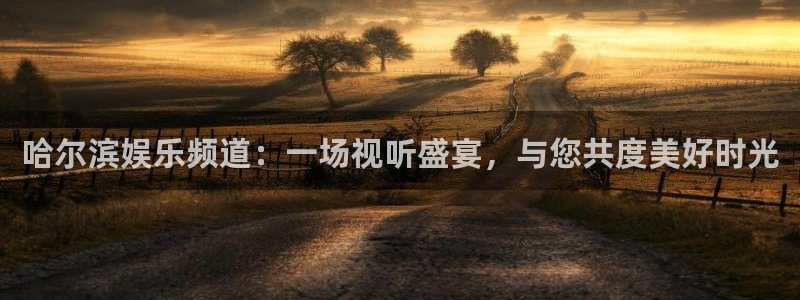 彩易通3平台注册：哈尔滨娱乐频道：一场视听盛宴，与您共度美好时光