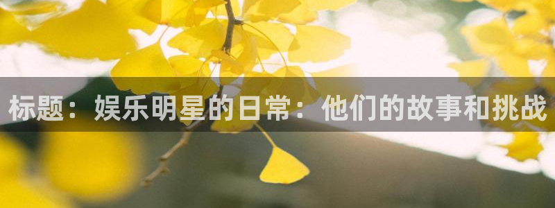 彩易通体育2：标题：娱乐明星的日常：他们的故事和挑战
