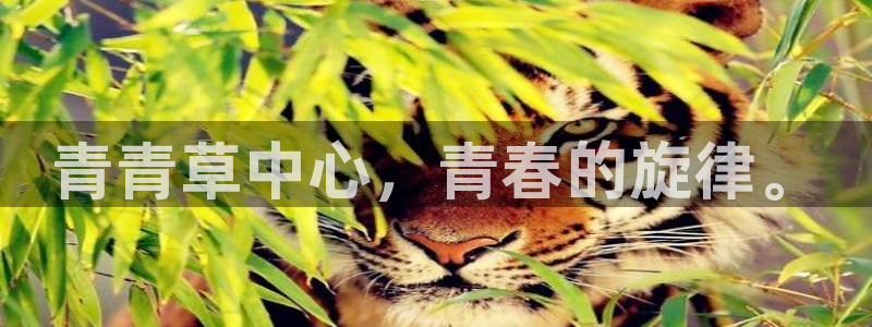 彩易通代理：青青草中心，青春的旋律。