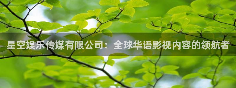 彩易通凯捷平台注册链接：星空娱乐传媒有限公司：全球华语影视内容的领航者