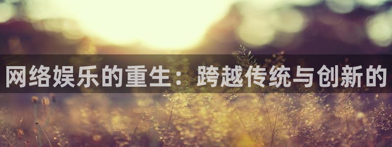 彩易通登录界面入口：网络娱乐的重生：跨越传统与创新的