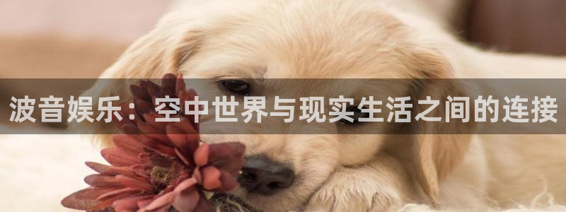 彩易通kgame：波音娱乐：空中世界与现实生活之间的连接