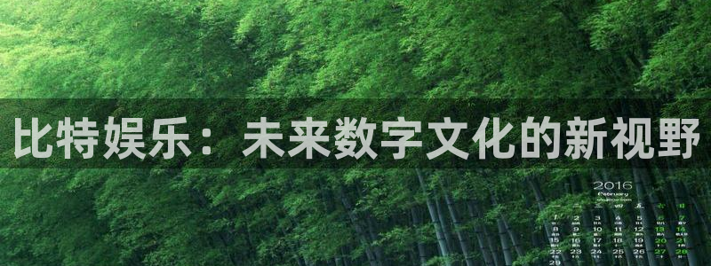 彩易通体育网页版入口：比特娱乐：未来数字文化的新视野
